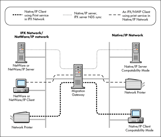 networks compatible with foxfi