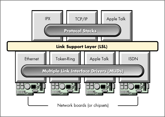 NEST architecture layers.