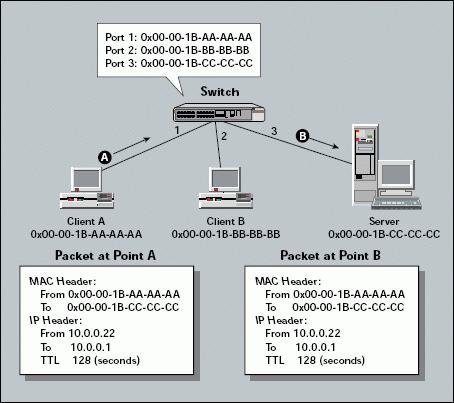 Switchnetwork on Switches Do Not Change The Packet S Contents  Such As The Network