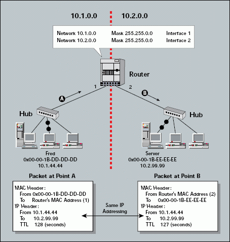 Company Network