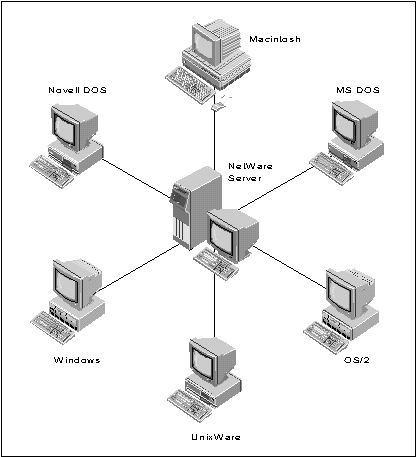 An Introduction to Novell's Open Security Architecture