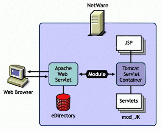 apache tomcat web server or application server