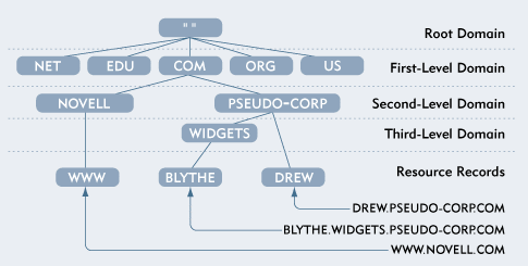 The domain registration hierarchy and WHOIS